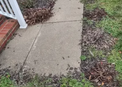 Sidewalk Before